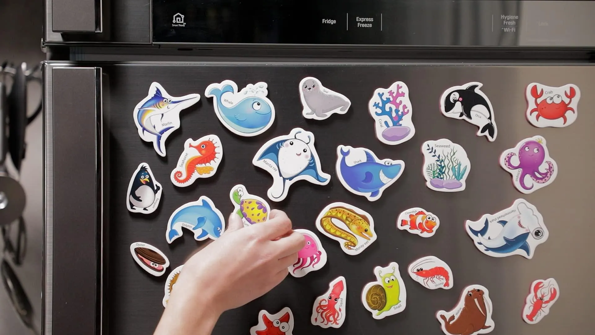 27 Foam Fridge Magnets for Toddlers 1 3 ‚Äì Large Toddler Magnets ‚Äì