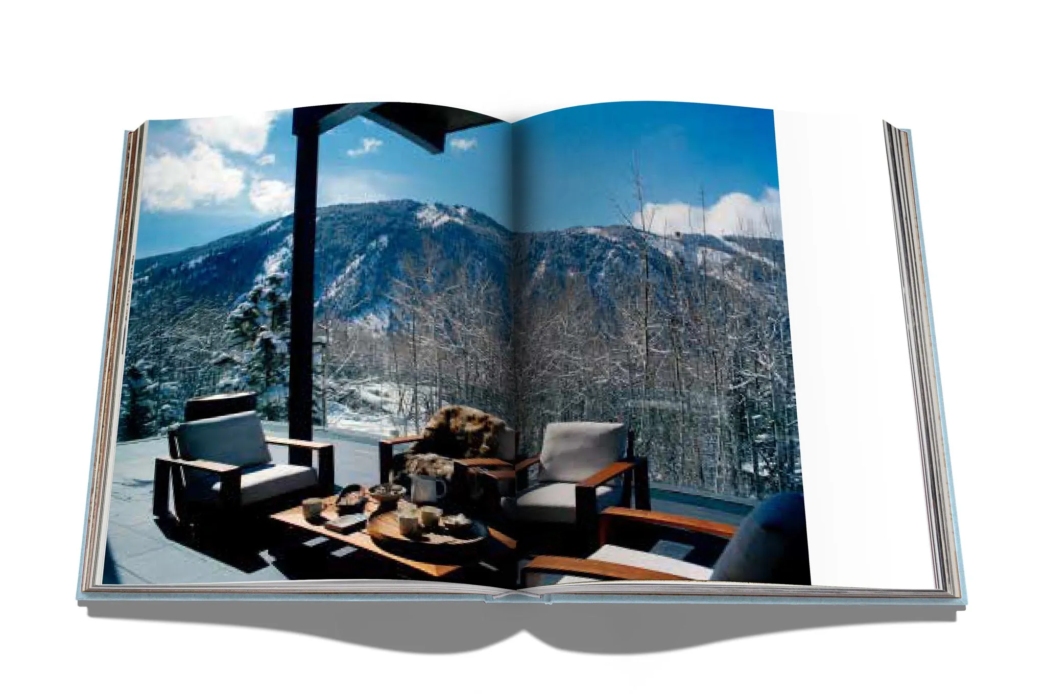 Assouline | Aspen Style