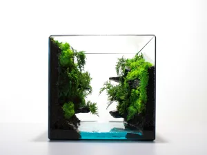 Between Two Cliffs Terrarium