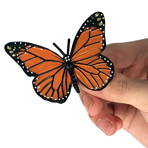 Butterfly Evolution Periods Magnets - Bring Funny Cute Magnets to Your Refrigerator with These Adorable and Educational Fridge Magnet (Butterfly)