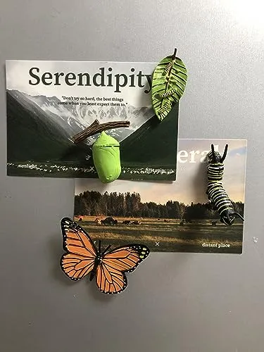 Butterfly Evolution Periods Magnets - Bring Funny Cute Magnets to Your Refrigerator with These Adorable and Educational Fridge Magnet (Butterfly)