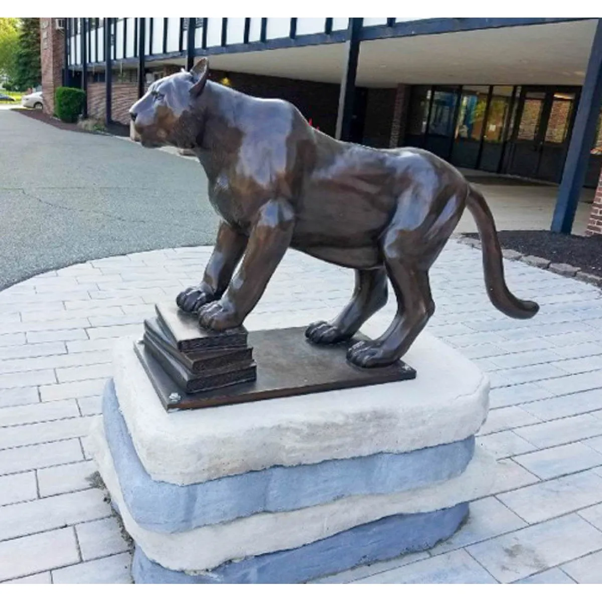 Cougar Mascot