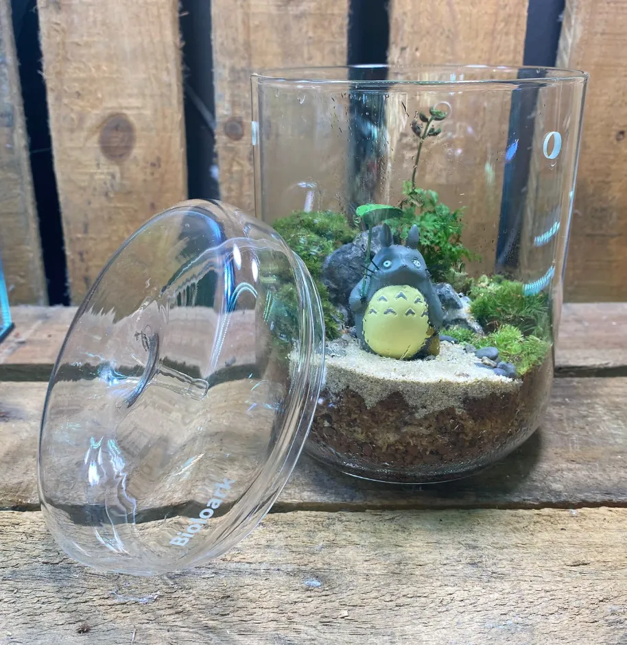 DOORGIFT TERRARIUMS Bioloark MY120H Pack (50 Sets)