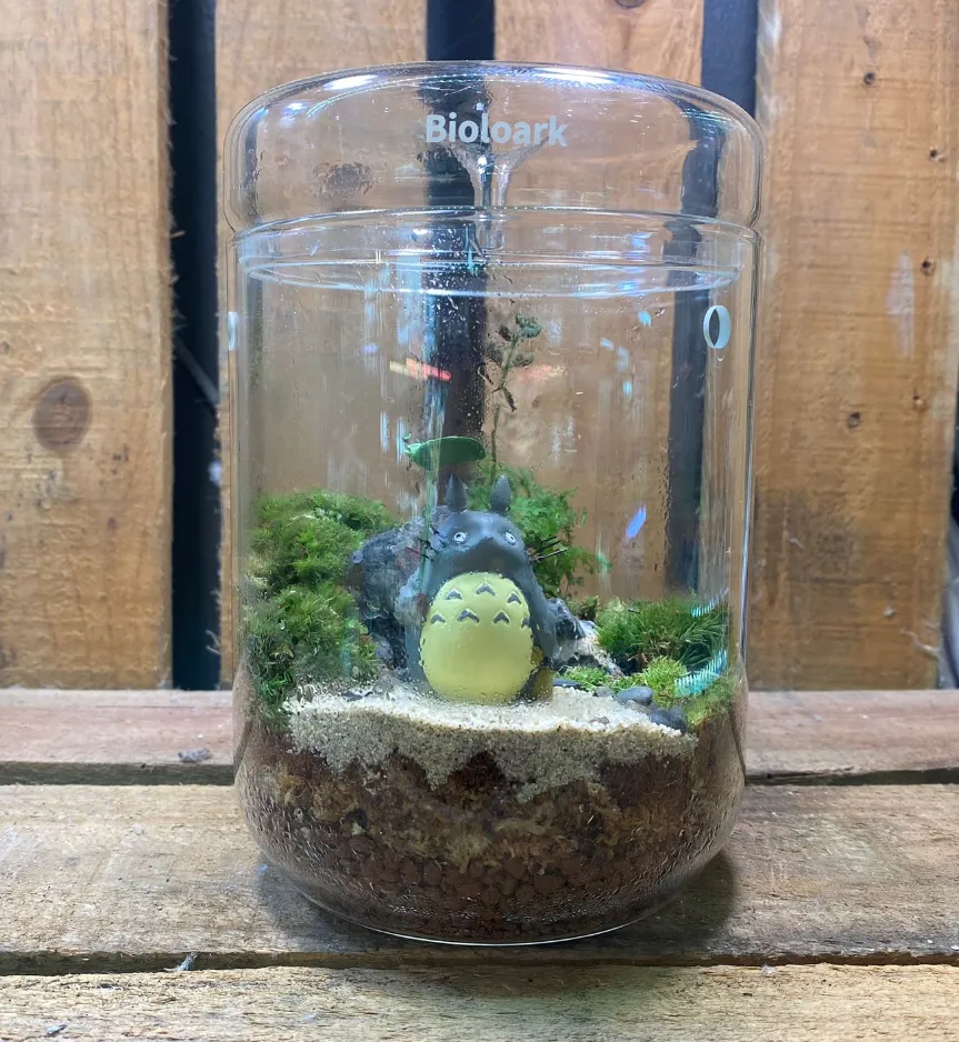 DOORGIFT TERRARIUMS Bioloark MY120H Pack (50 Sets)