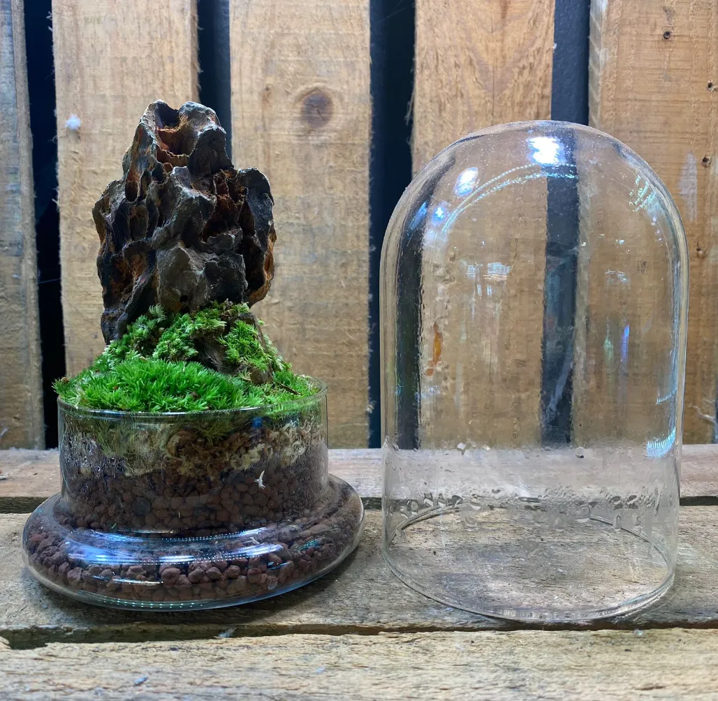 DOORGIFT TERRARIUMS Cone Pack (20 Sets)