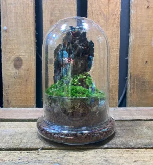 DOORGIFT TERRARIUMS Cone Pack (20 Sets)