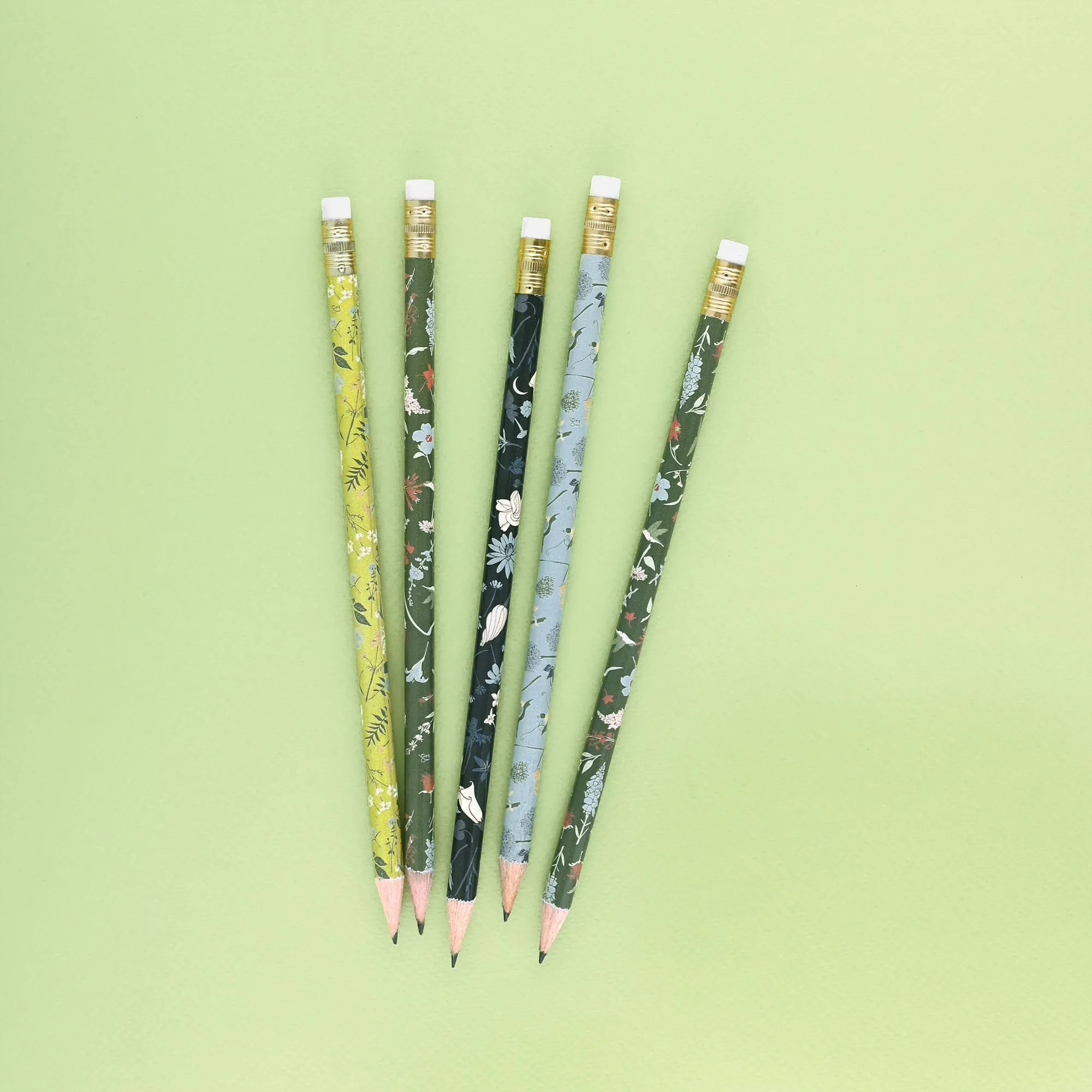 Garden Mix Pencil Terrarium Set Of 5