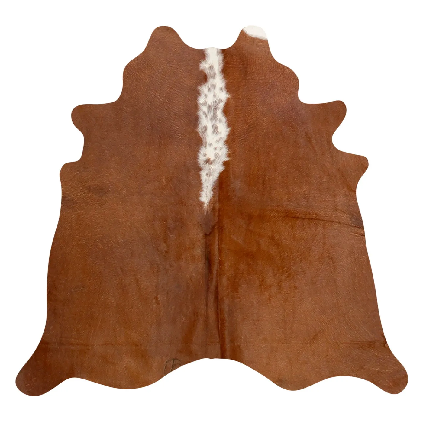 Natural Argentine Cowhide 4' 11" x 4' 7"