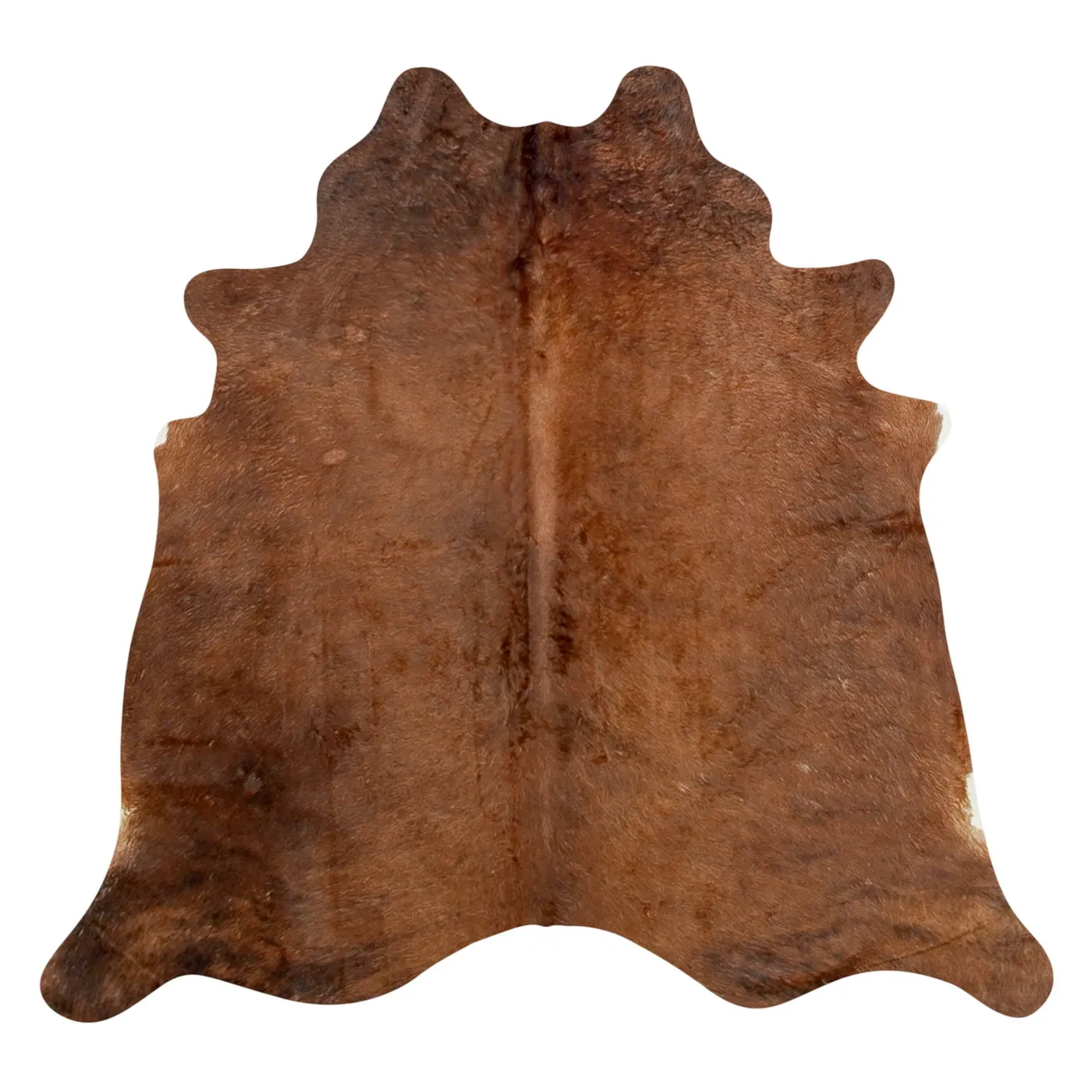 Natural Argentine Cowhide 4' 11" x 5' 7"