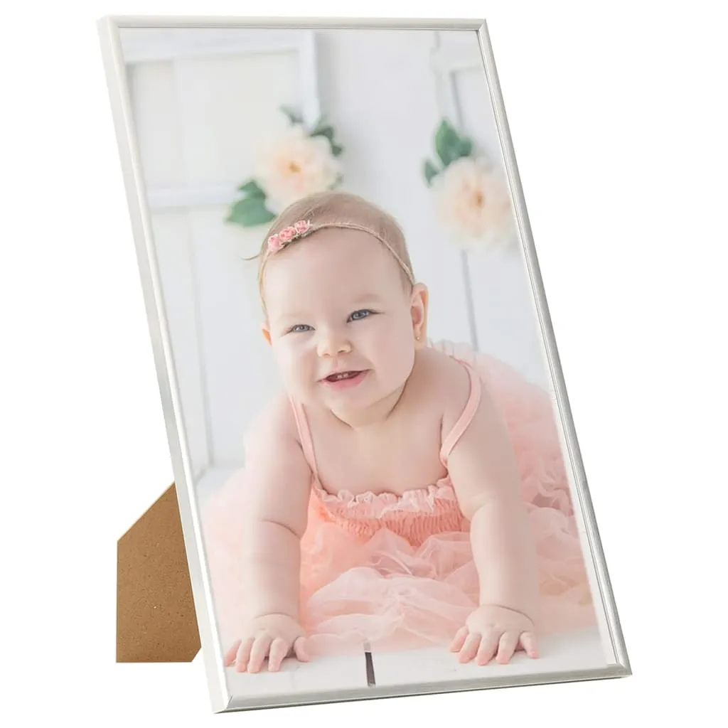 Photo Frames Collage 5 pcs for Table Silver 21x29.7 cm MDF