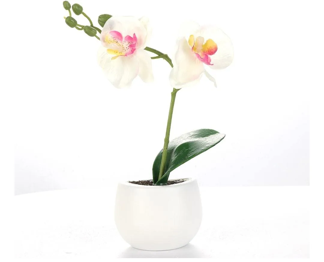 Plant Pot Unique 3D Refrigerator Magnets Poly Resin Ceramic Flower Vase Mini Artificial Dried Flowers Fridge Magnet Material Cute Office Board Kitchen