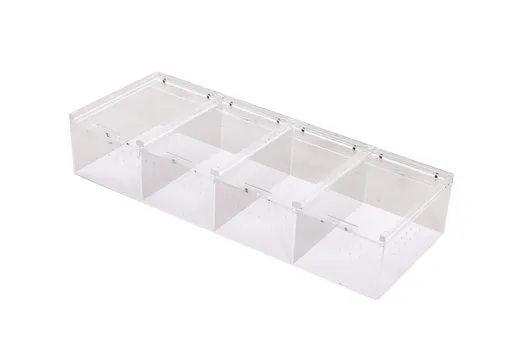 Reptizoo Acrylic Display Case With Multiple Compartments