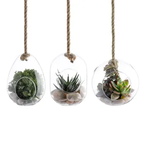 Set of 3 Large Glass Hanging Terrarium Container with 28" Rope for Succulent & Air