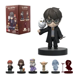 Wizarding World Harry Potter Hero Box Blind Box